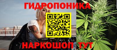 прущие крисы Донской