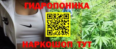 прущие крисы Дубна