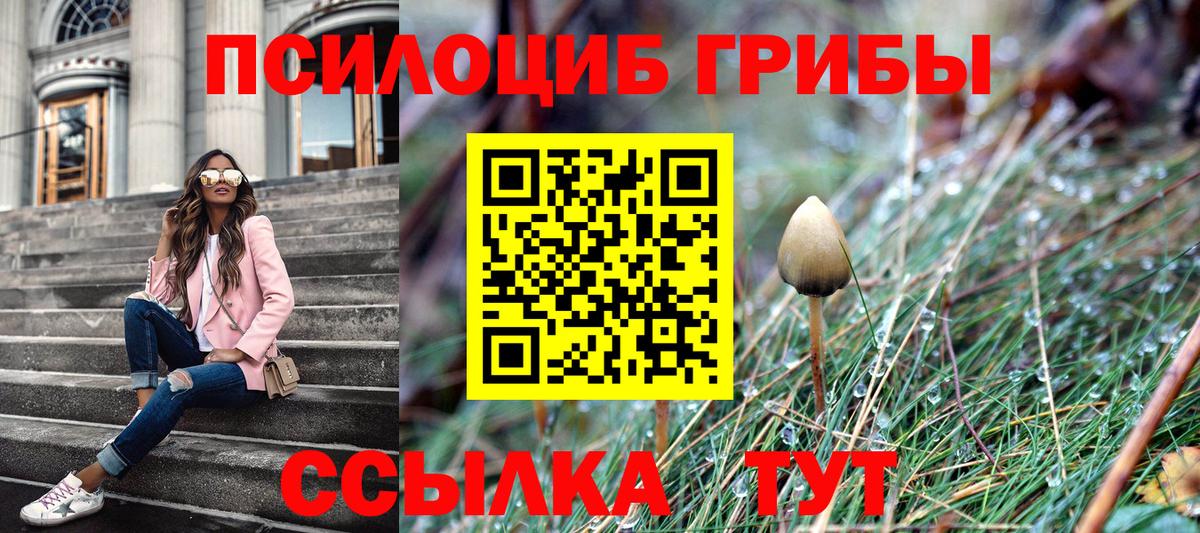 Галлюциногенные грибы MAGIC MUSHROOMS  Вход с VPN  Минусинск 